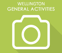 Wellington Activities Wellington Activities