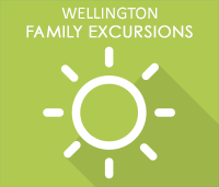 Wellington Activities