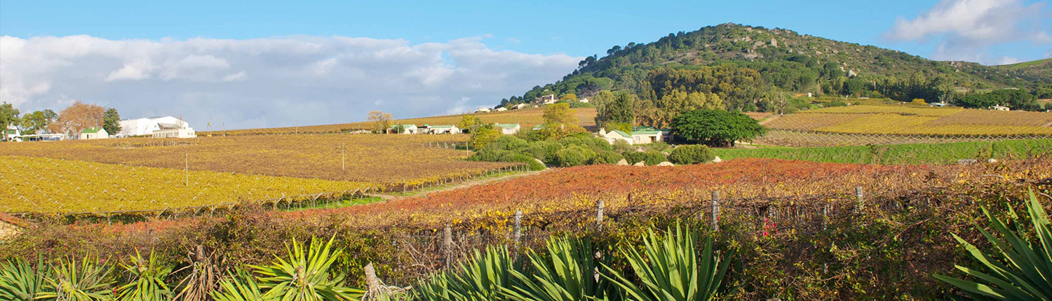 Paarl Mountain Paarl Mountain