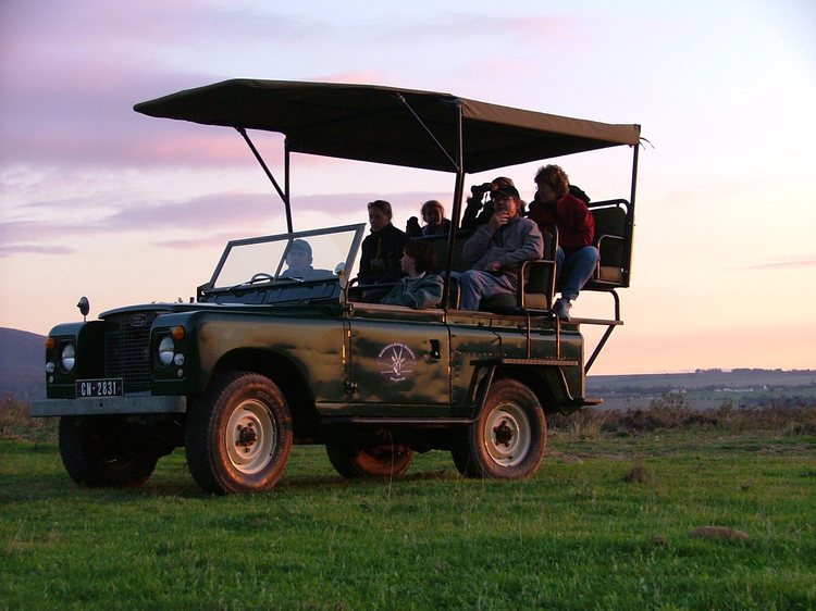 Bontebok-_Ridge_Game_Reserve_06