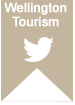 Wellington Twitter